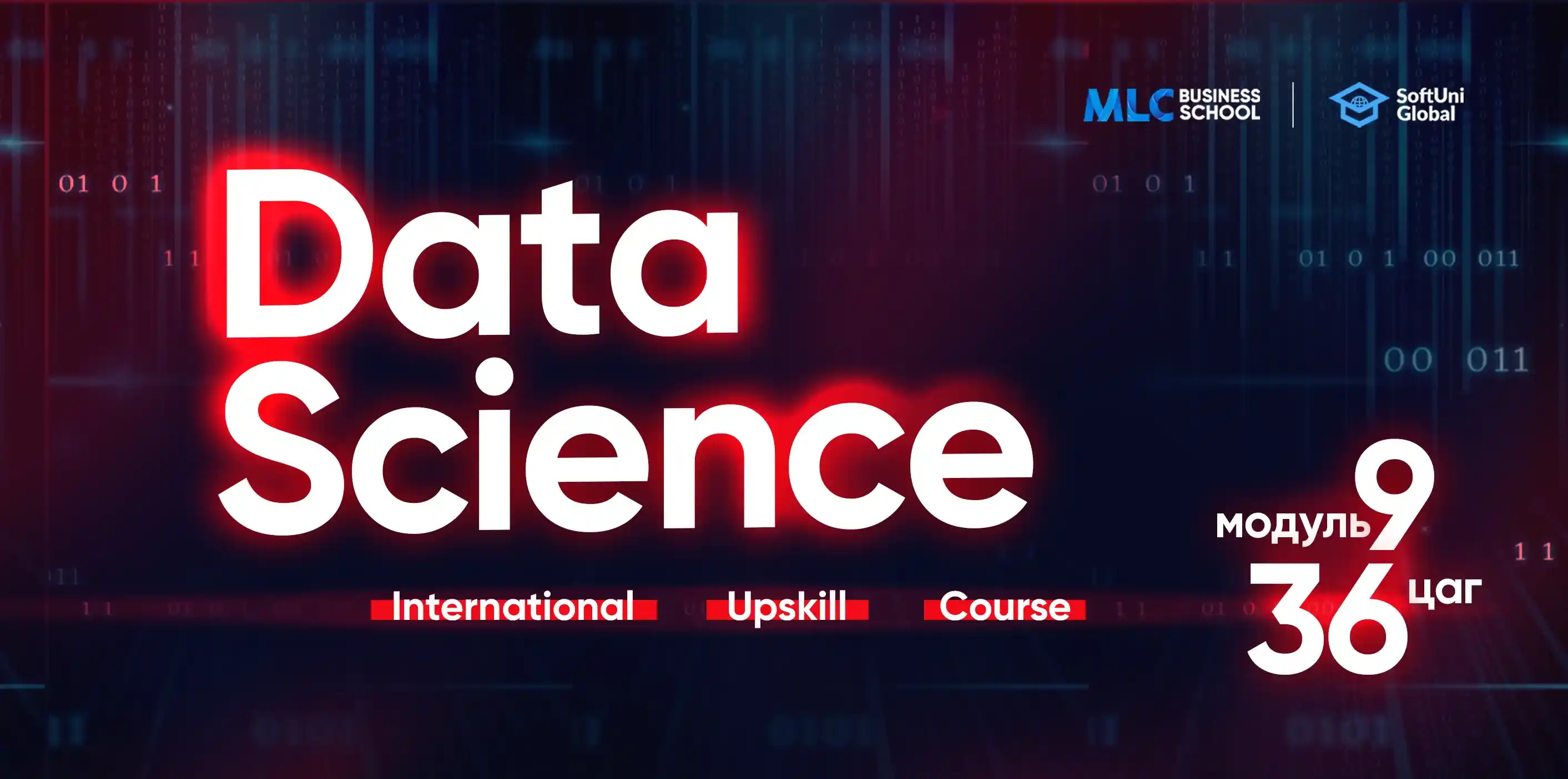 Data Science - February 2025 icon